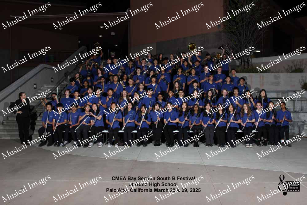 Musical Images